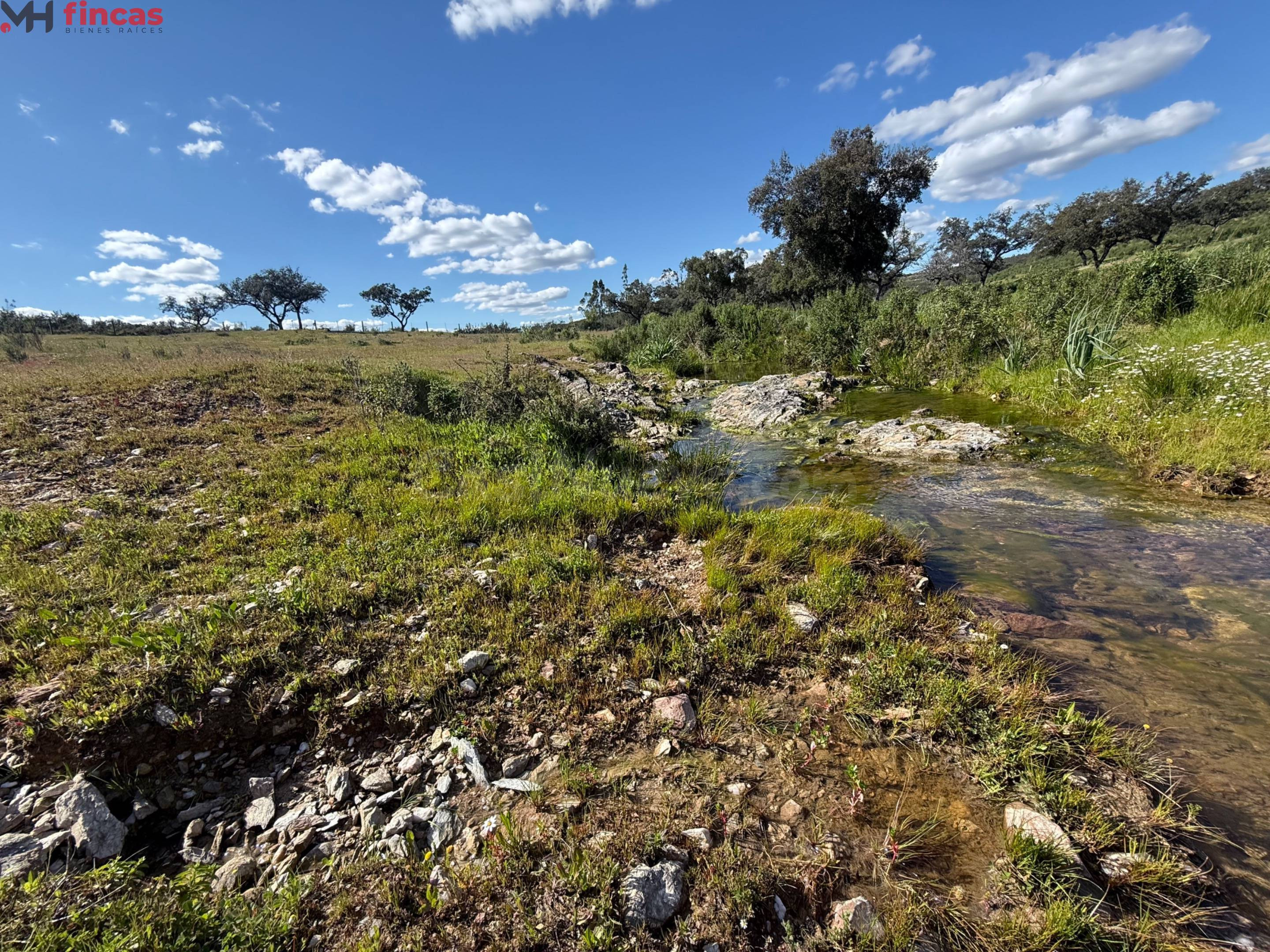 Finca Rústica con Agua Propia en Almonaster la Real – Huelva - foto 4