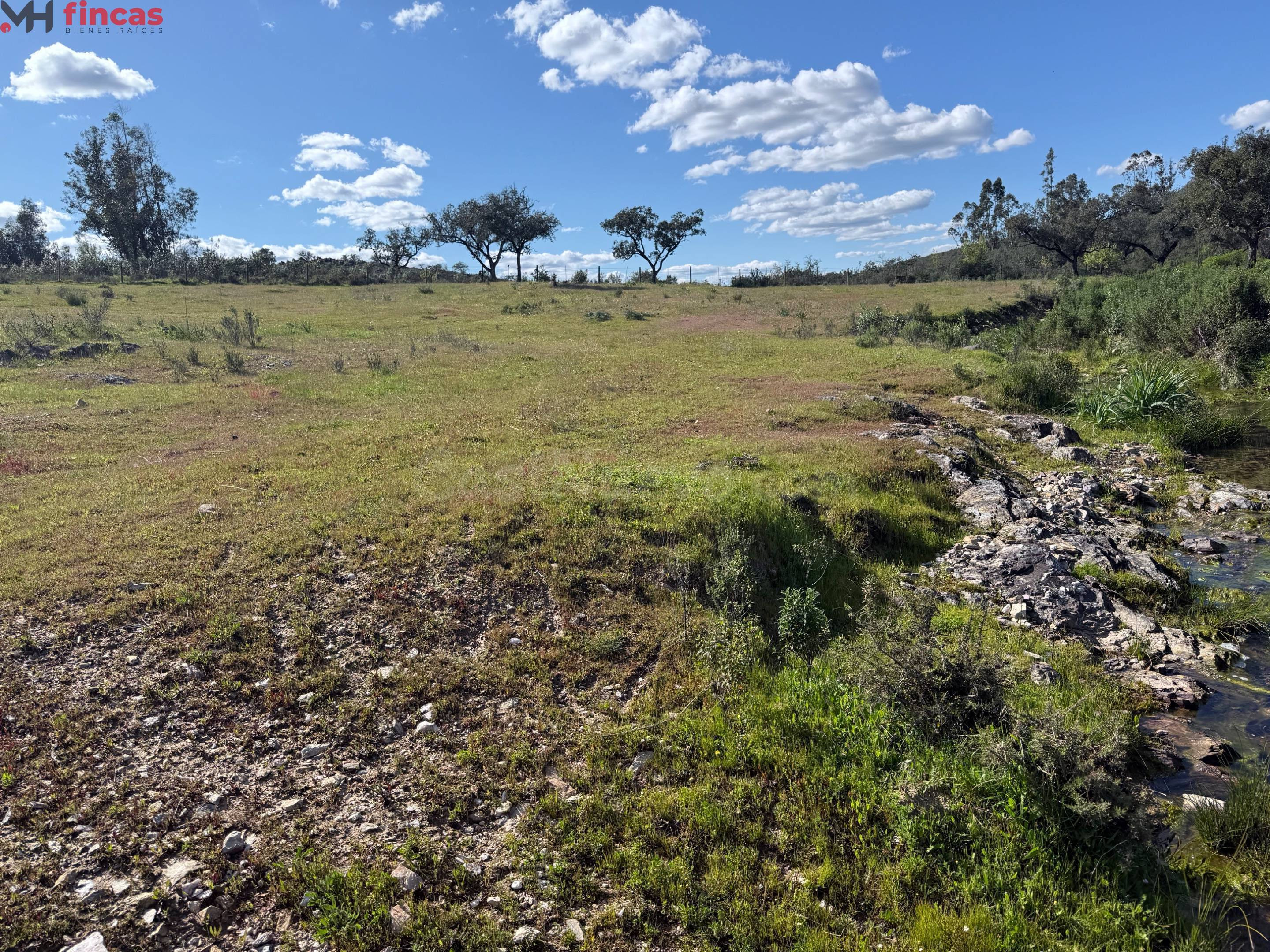 Finca Rústica con Agua Propia en Almonaster la Real – Huelva - foto 5