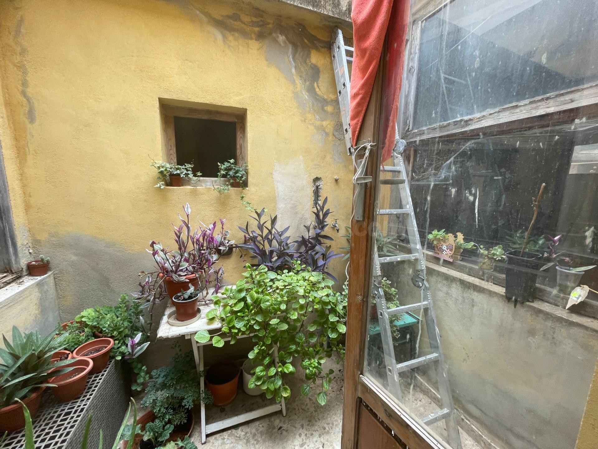 Casa baja de 3 dormitorios en pleno centro de Los Montesinos - foto 4