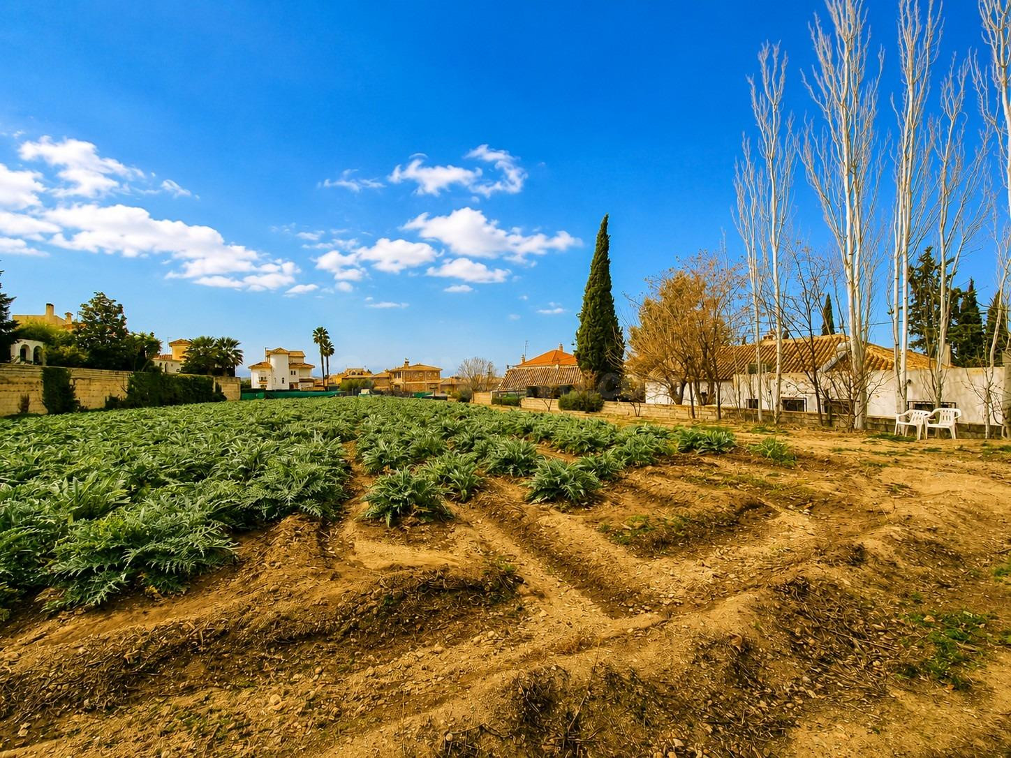 ¡Excelente oportunidad de inversión en la mejor zona residencial de Cájar (Granada)! Se vende magnífica parcela urbana de 3.022 m2 en la Calle Vía del Tranvía. Un terreno completamente llano, d