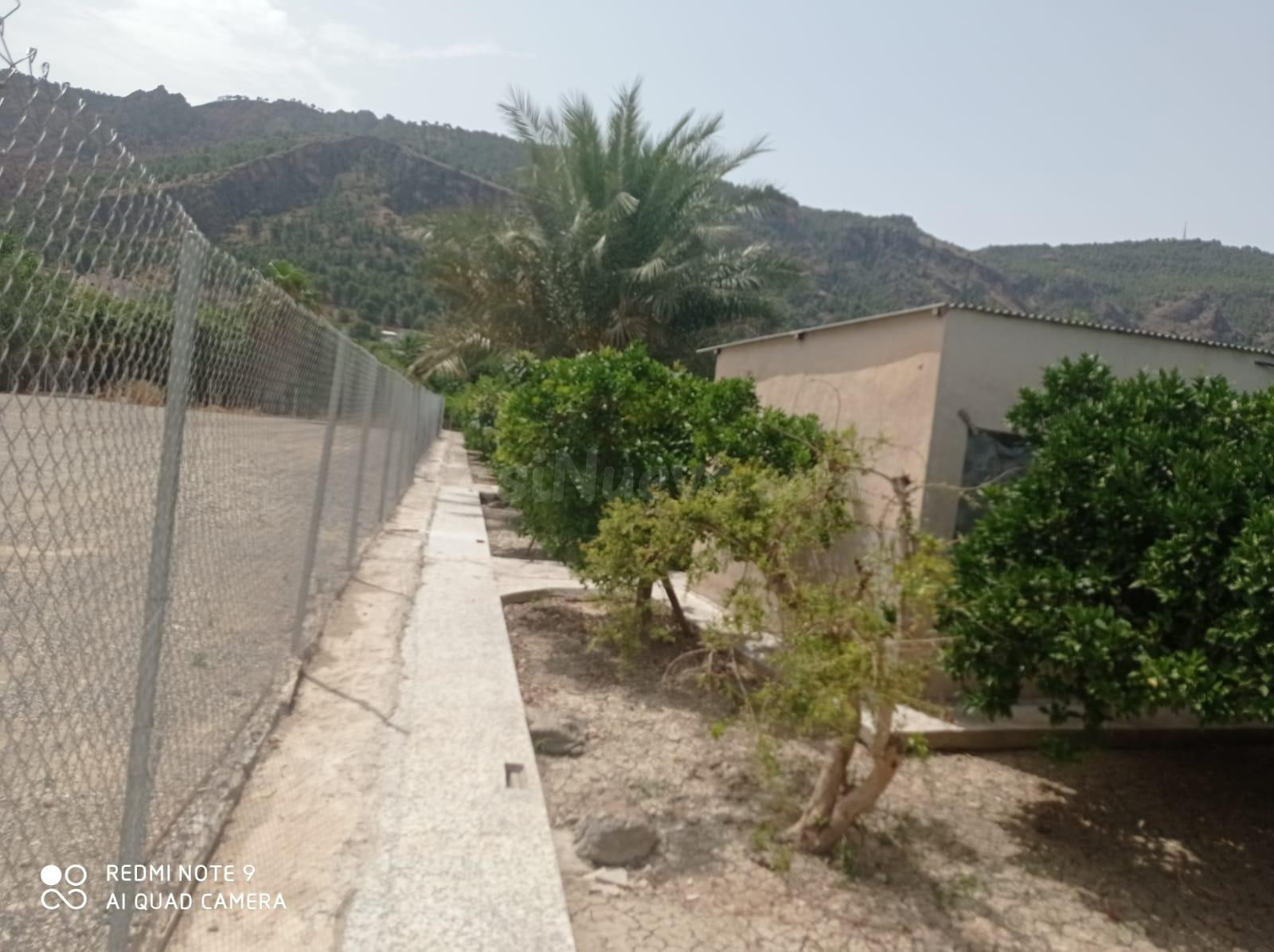 Finca rústica de 2.370 m2 con casa a solo 5 minutos de Murci - foto 3