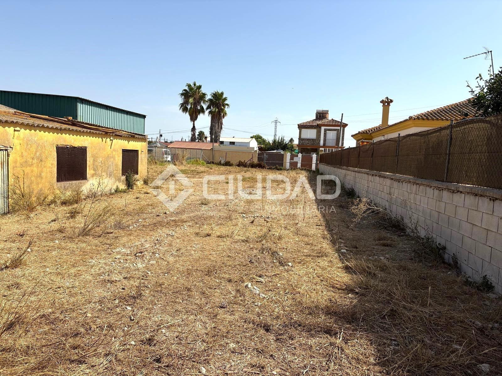 Terreno rural en venta - Las Palmeras-Dehesilla