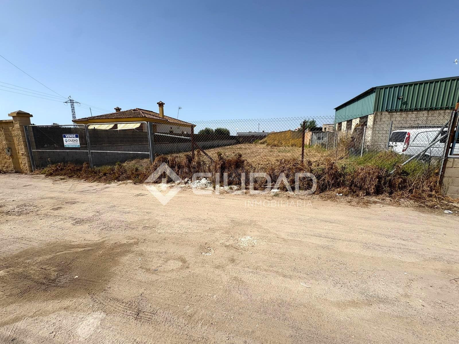 Terreno rural en venta - Las Palmeras-Dehesilla - foto 3