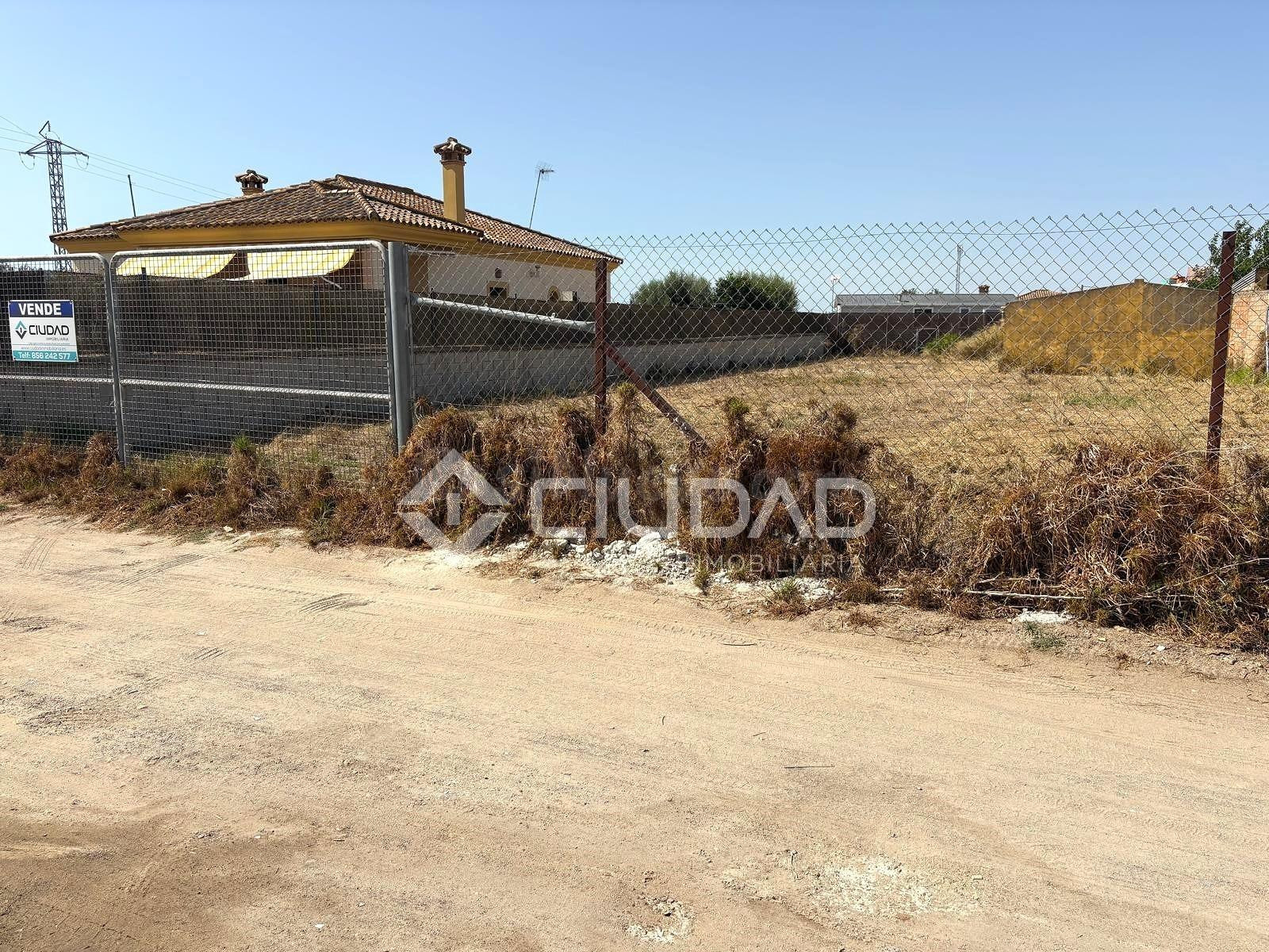 Terreno rural en venta - Las Palmeras-Dehesilla - foto 4