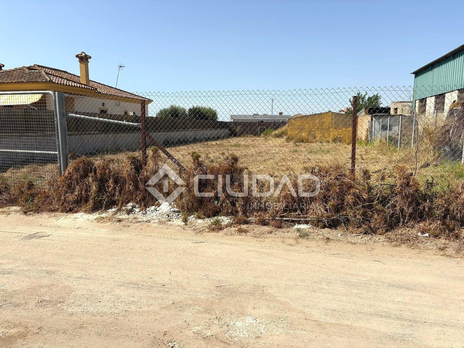 Terreno rural en venta - Las Palmeras-Dehesilla - foto 5