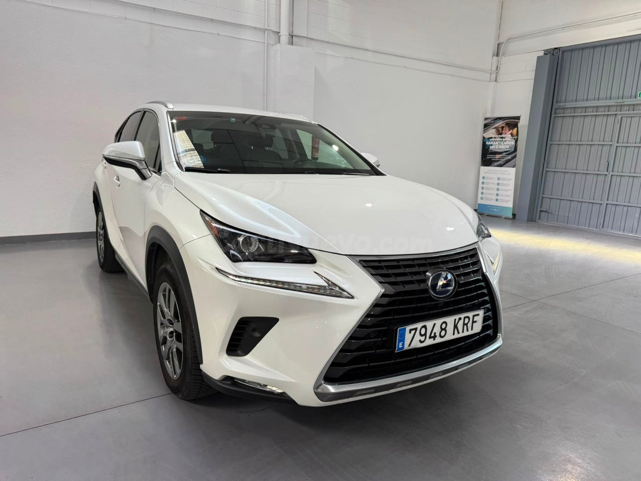 LEXUS NX 2.5 300h Executive Navigation 4WD (2018)