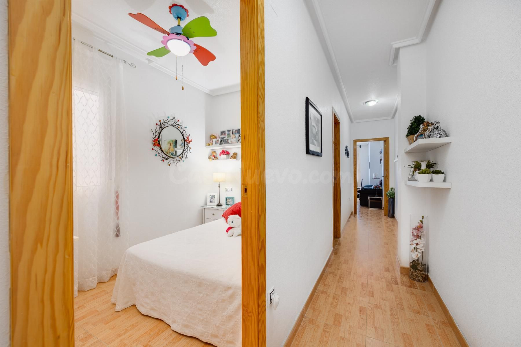 APARTAMENTO DE 2 DORMITORIOS 1 BAÑO EN TORREVIEJA ( PARQUE D - foto 3