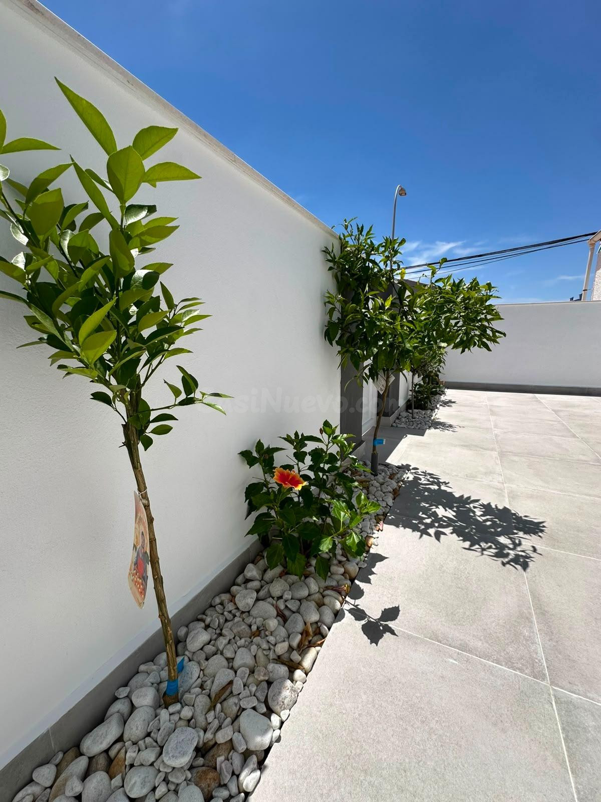 BUNGALOW ADOSADO DE 2 DORMITORIOS EN LA SIESTA (TORREVIEJA) - foto 5