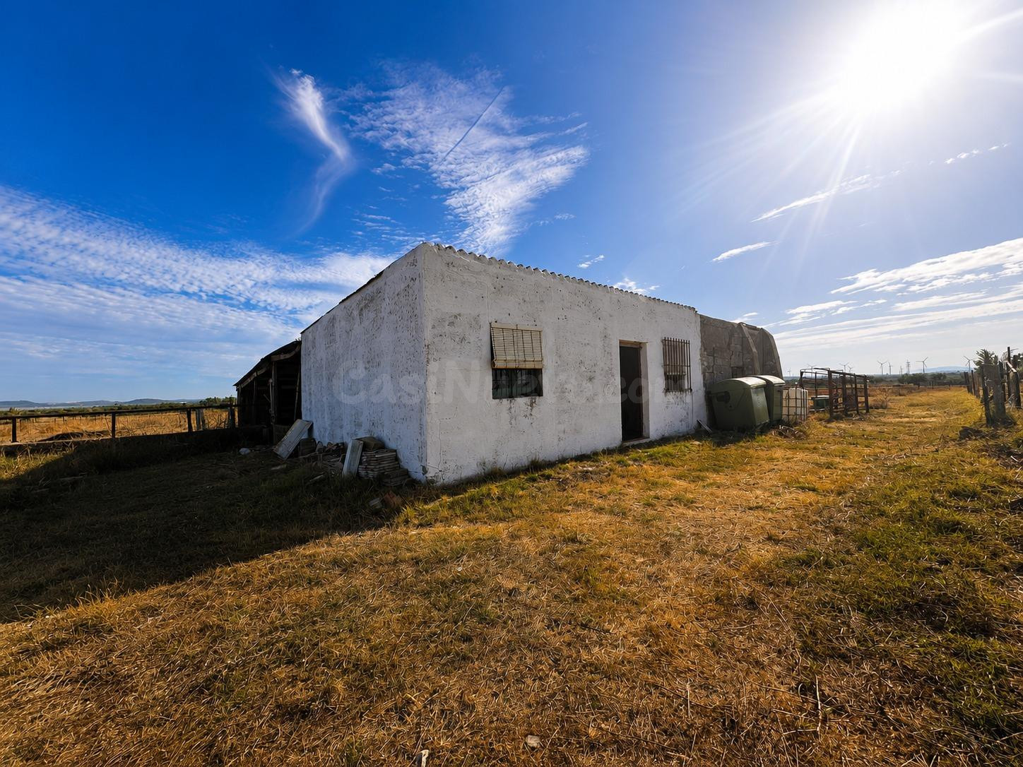 FINCA AGRARIA CON ALMACÉN EN EL CARPIO – PUERTO REAL ✨
