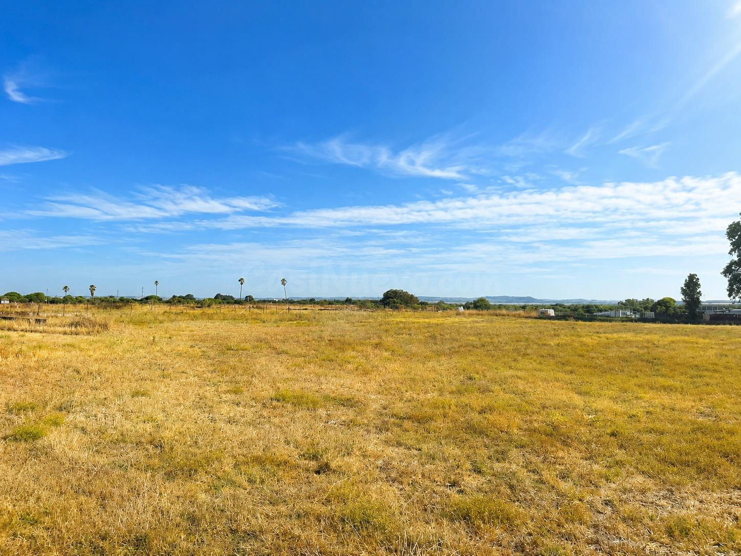 FINCA AGRARIA CON ALMACÉN EN EL CARPIO – PUERTO REAL ✨ - foto 2