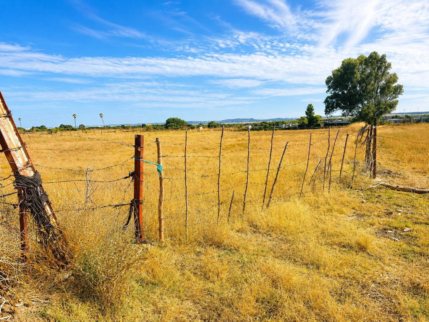 FINCA AGRARIA CON ALMACÉN EN EL CARPIO – PUERTO REAL ✨ - foto 3