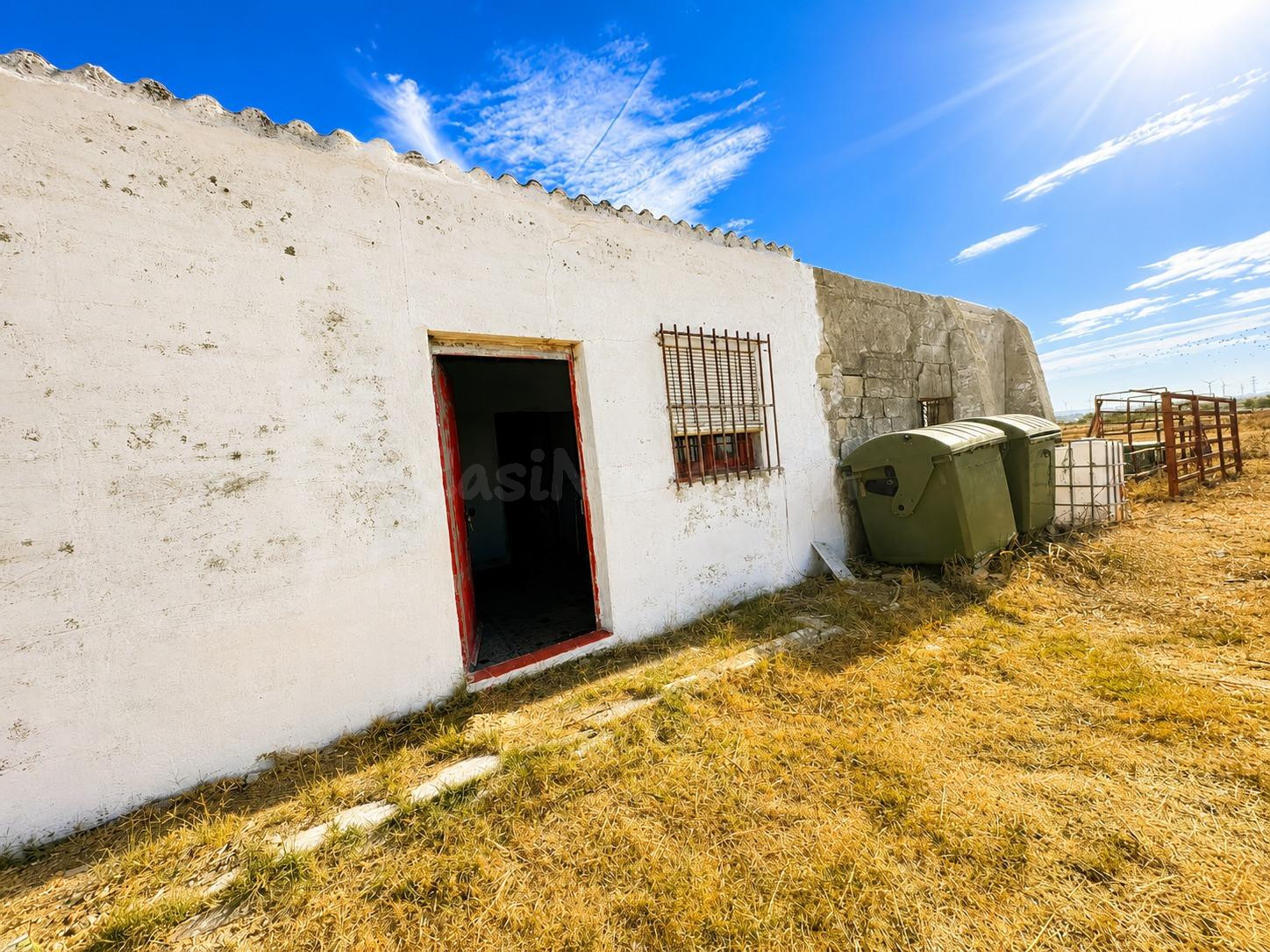 FINCA AGRARIA CON ALMACÉN EN EL CARPIO – PUERTO REAL ✨ - foto 4