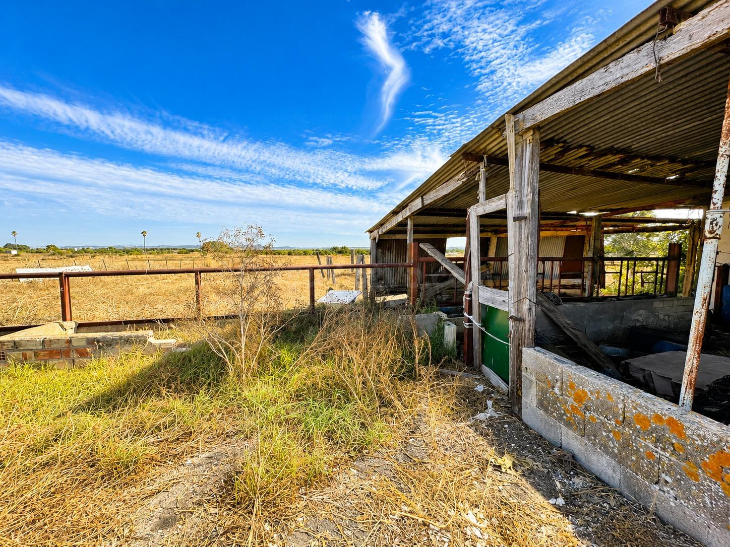 FINCA AGRARIA CON ALMACÉN EN EL CARPIO – PUERTO REAL ✨ - foto 5