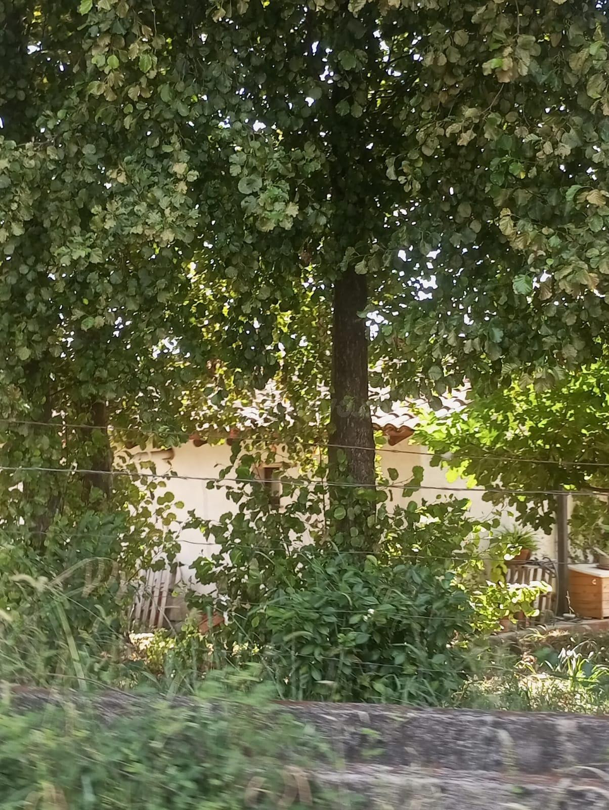FINCA RUSTICA EN PROINDIVISO ARENAS DE SAN PEDRO Y CANDELEDA - foto 2