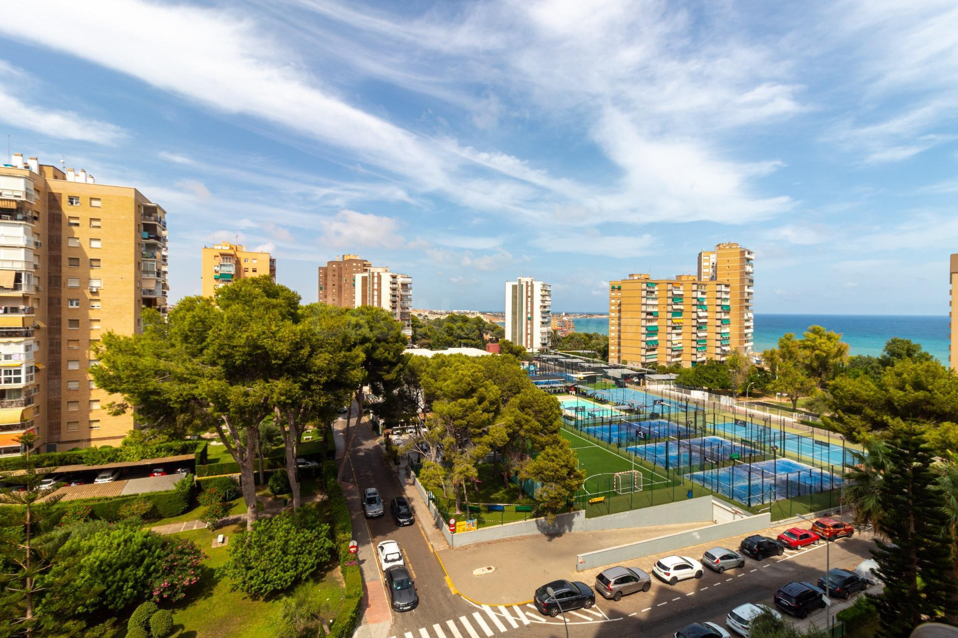 APARTAMENTO DE 1 DORMITORIO Y 1 BAÑO EN ORIHUELA COSTA (CAMPO AMOR)