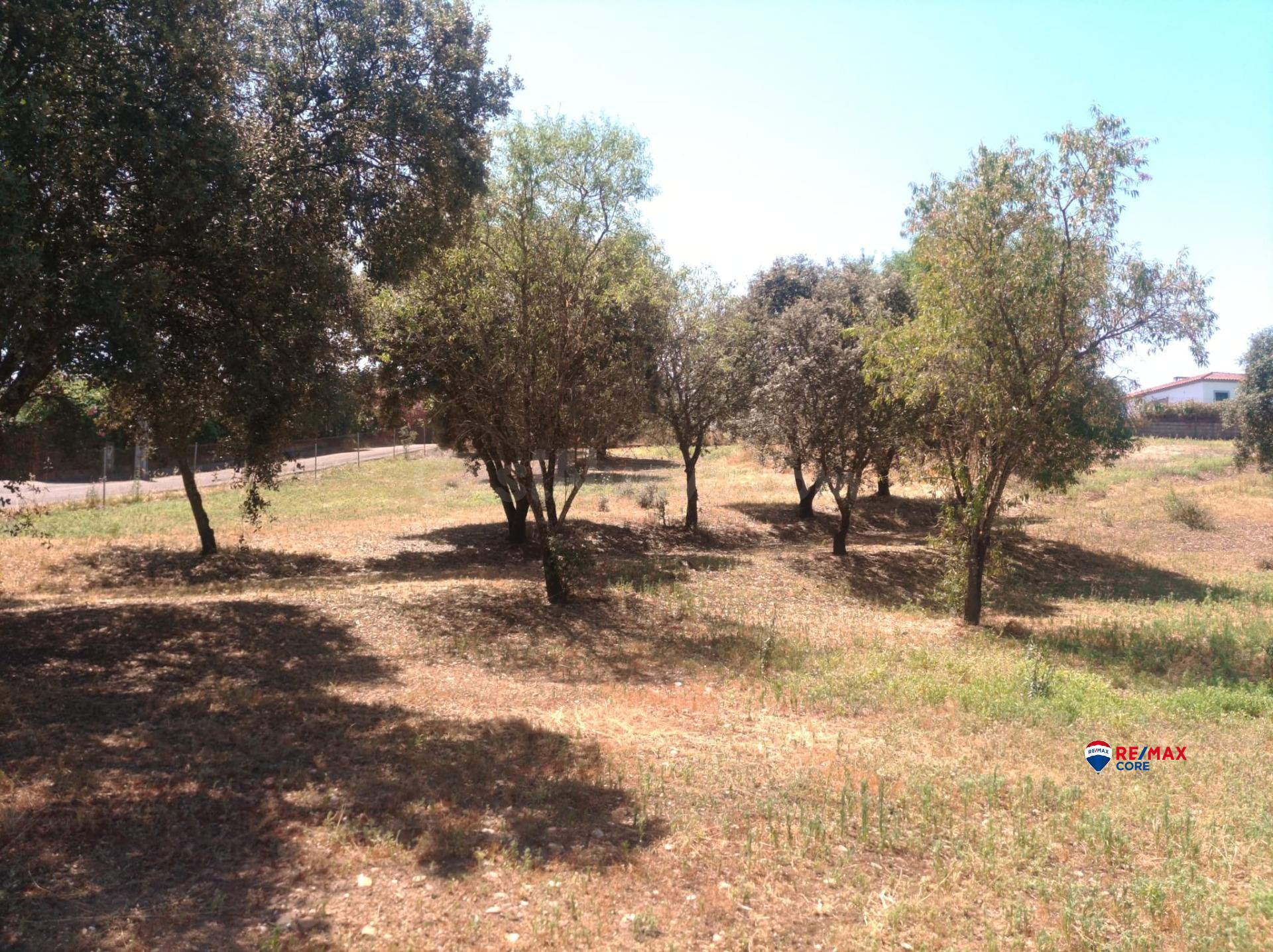 Venta de Terreno Urbano en Urbanización La Atalaya – 5.046 m - foto 5