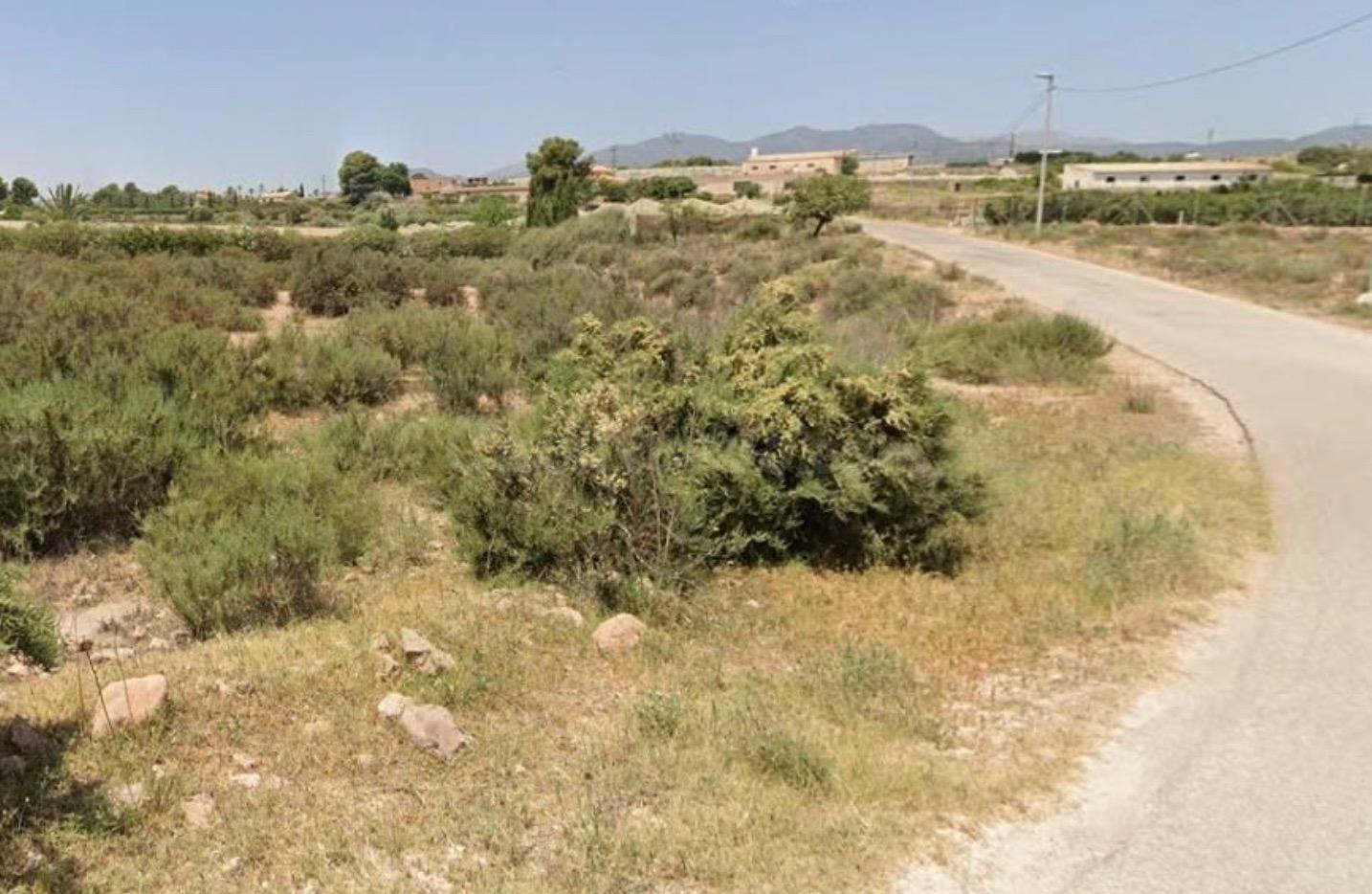 PARCELA URBANIZABLE MUY CERCA DE TOTANA - foto 2
