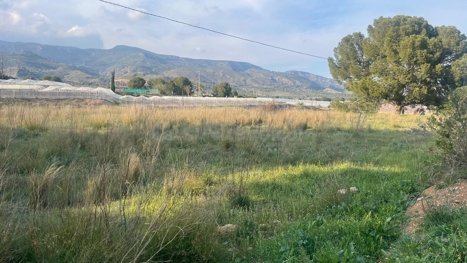 PARCELA RUSTICA EN ZONA HUERTOS