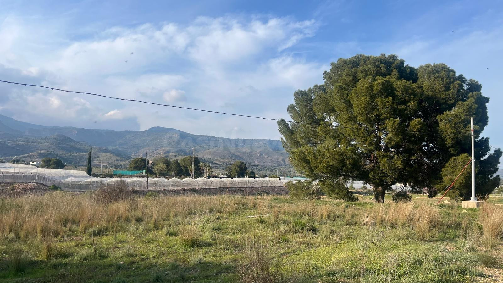 PARCELA RUSTICA EN ZONA HUERTOS - foto 2