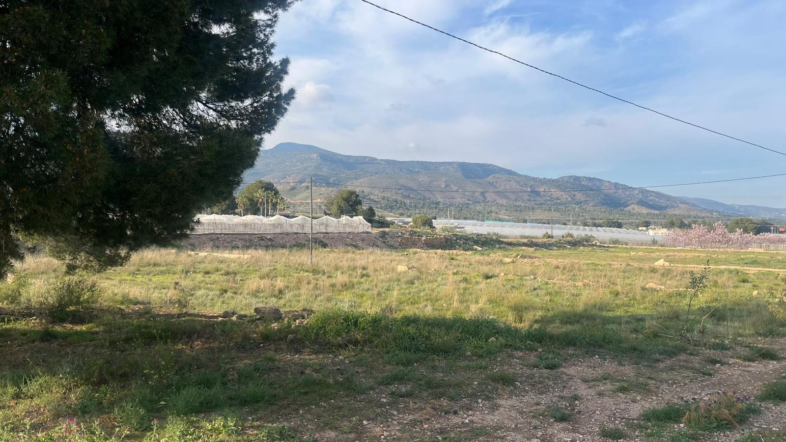 PARCELA RUSTICA EN ZONA HUERTOS - foto 3