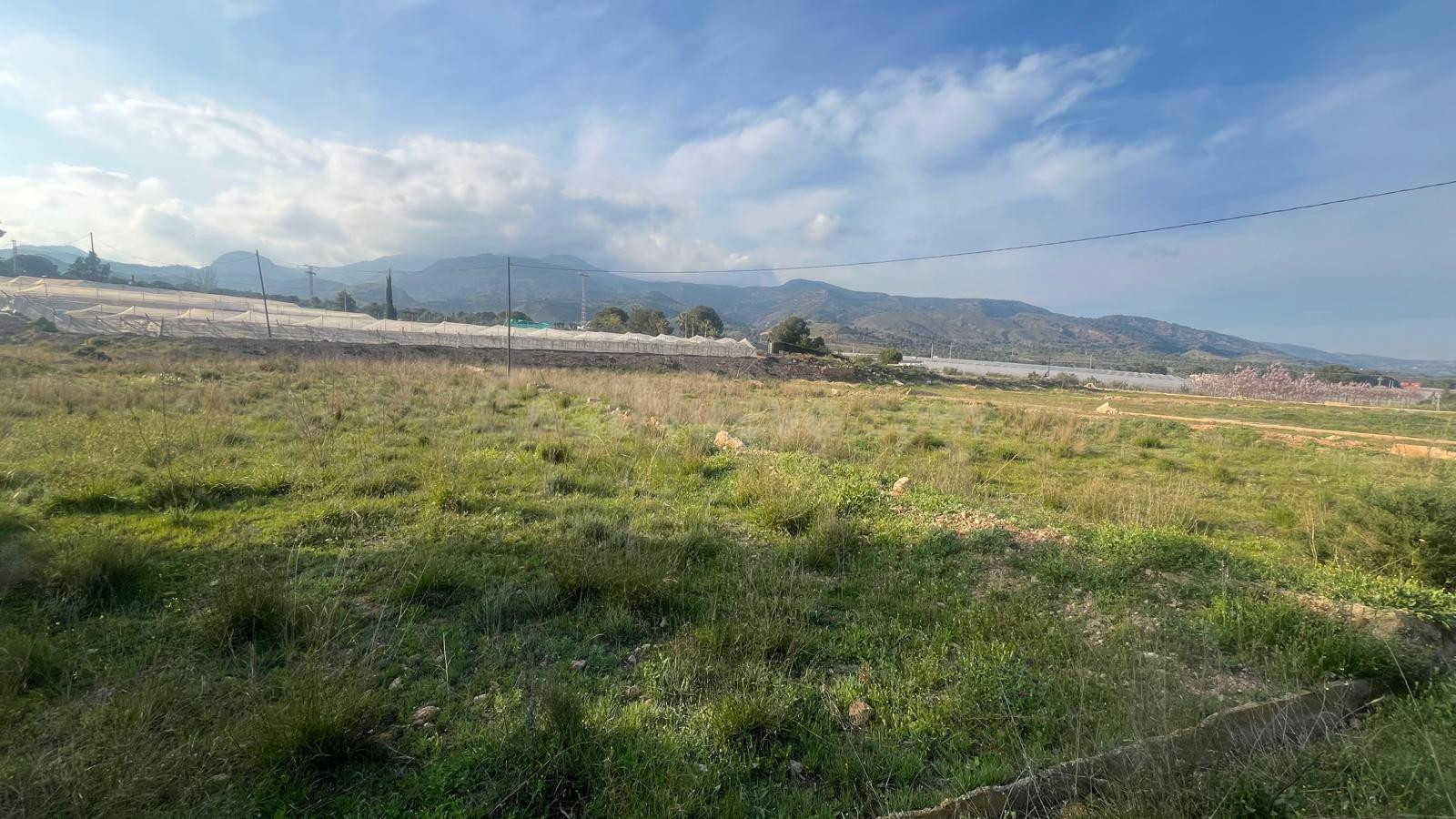 PARCELA RUSTICA EN ZONA HUERTOS - foto 4