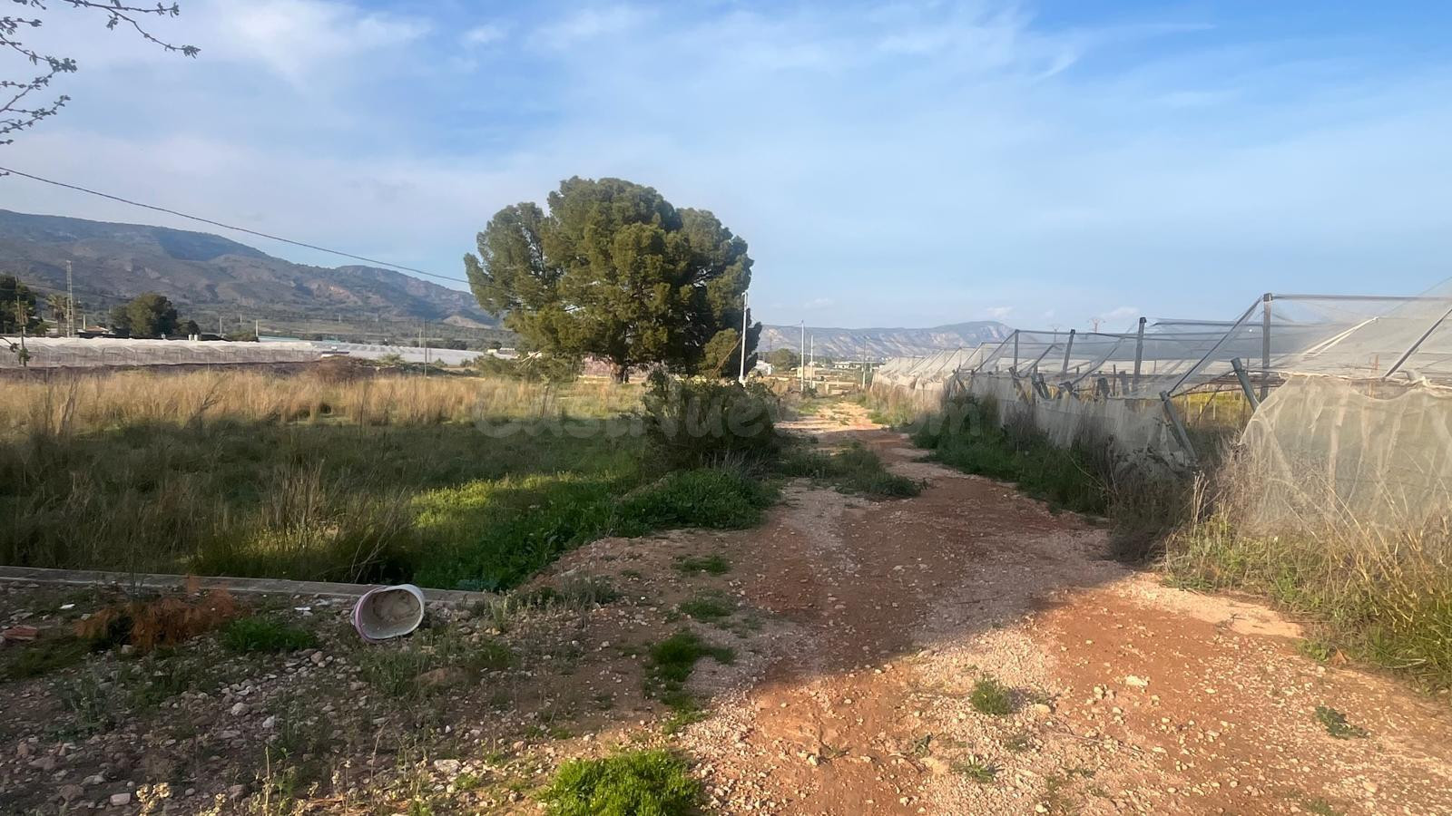 PARCELA RUSTICA EN ZONA HUERTOS - foto 5