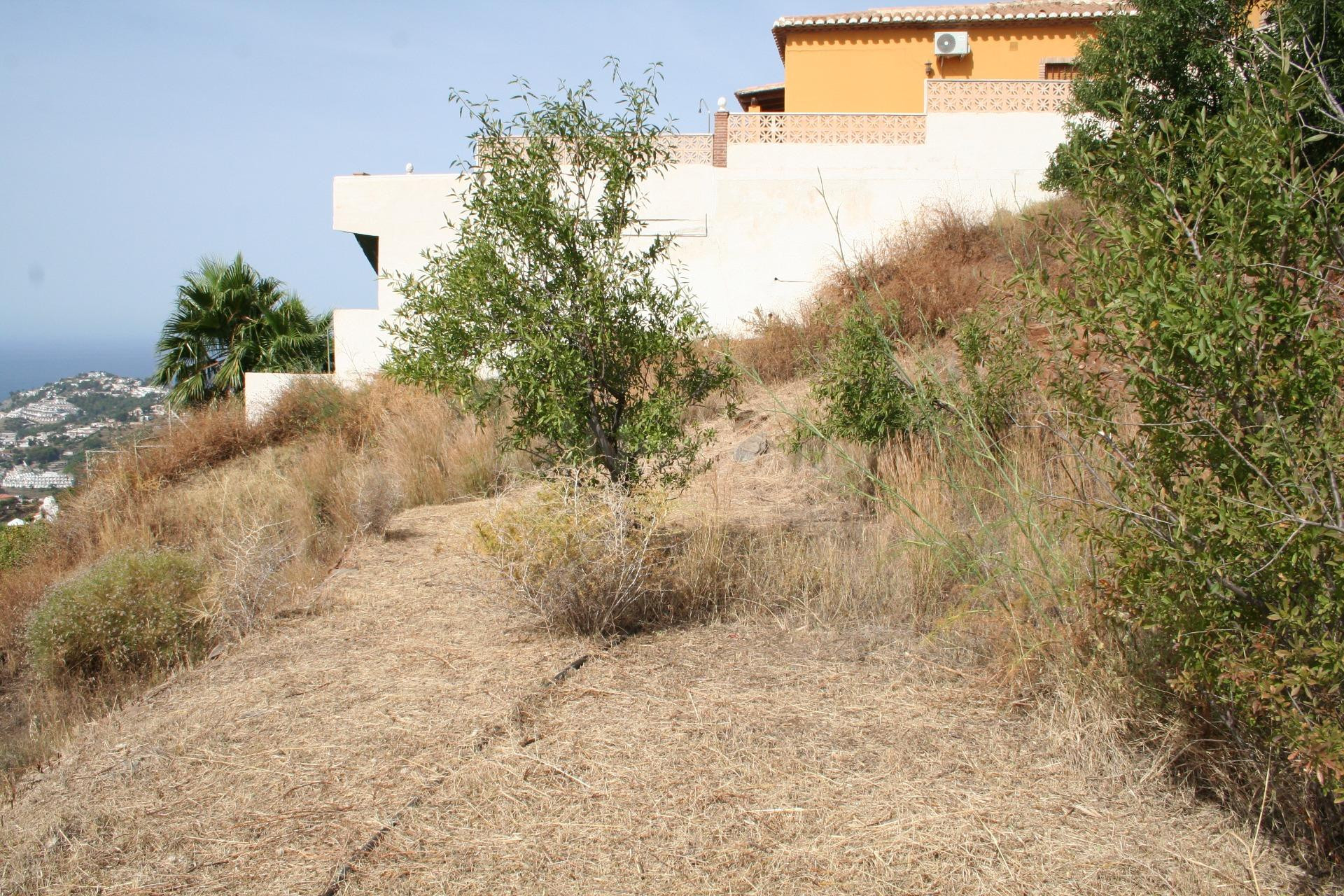 Finca rústica con agua y vistas al mar 4.170 m2 - foto 2