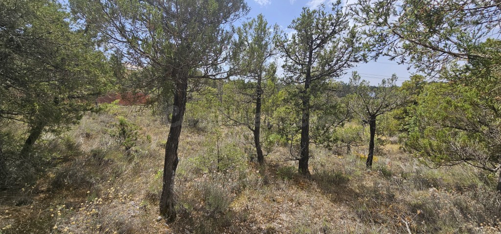 Solar residencial en Venta en Duruelo Segovia - foto 4