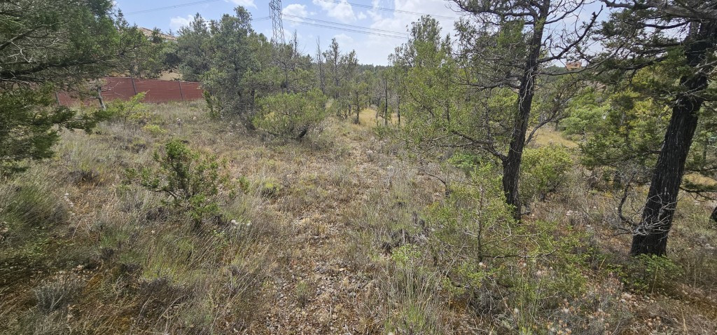Solar residencial en Venta en Duruelo Segovia - foto 5