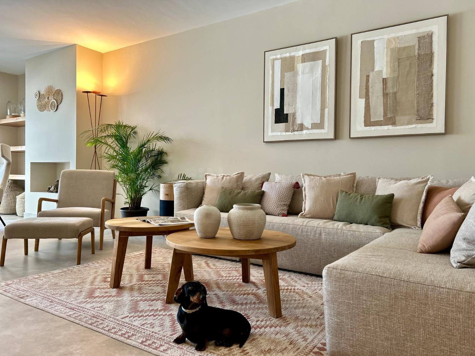 Espectacular vivienda reformada con jardín privado en Palm B - foto 4