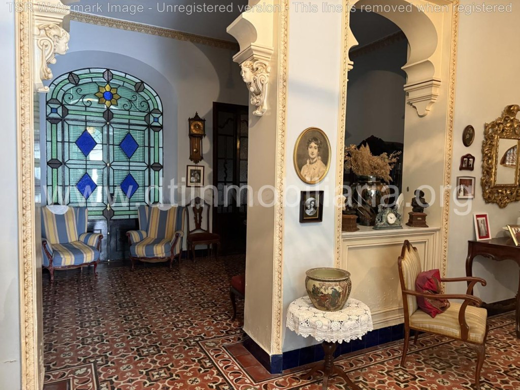 MAGNIFICA CASA SEÑORIAL DE PUEBLO - foto 2