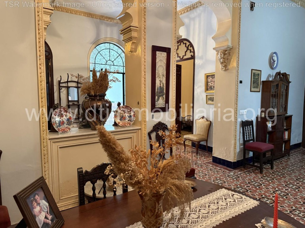 MAGNIFICA CASA SEÑORIAL DE PUEBLO - foto 5