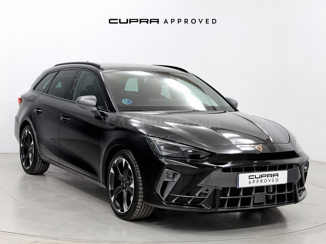 Cupra León SP 1.5 eTSI 110kW (150CV) DSG