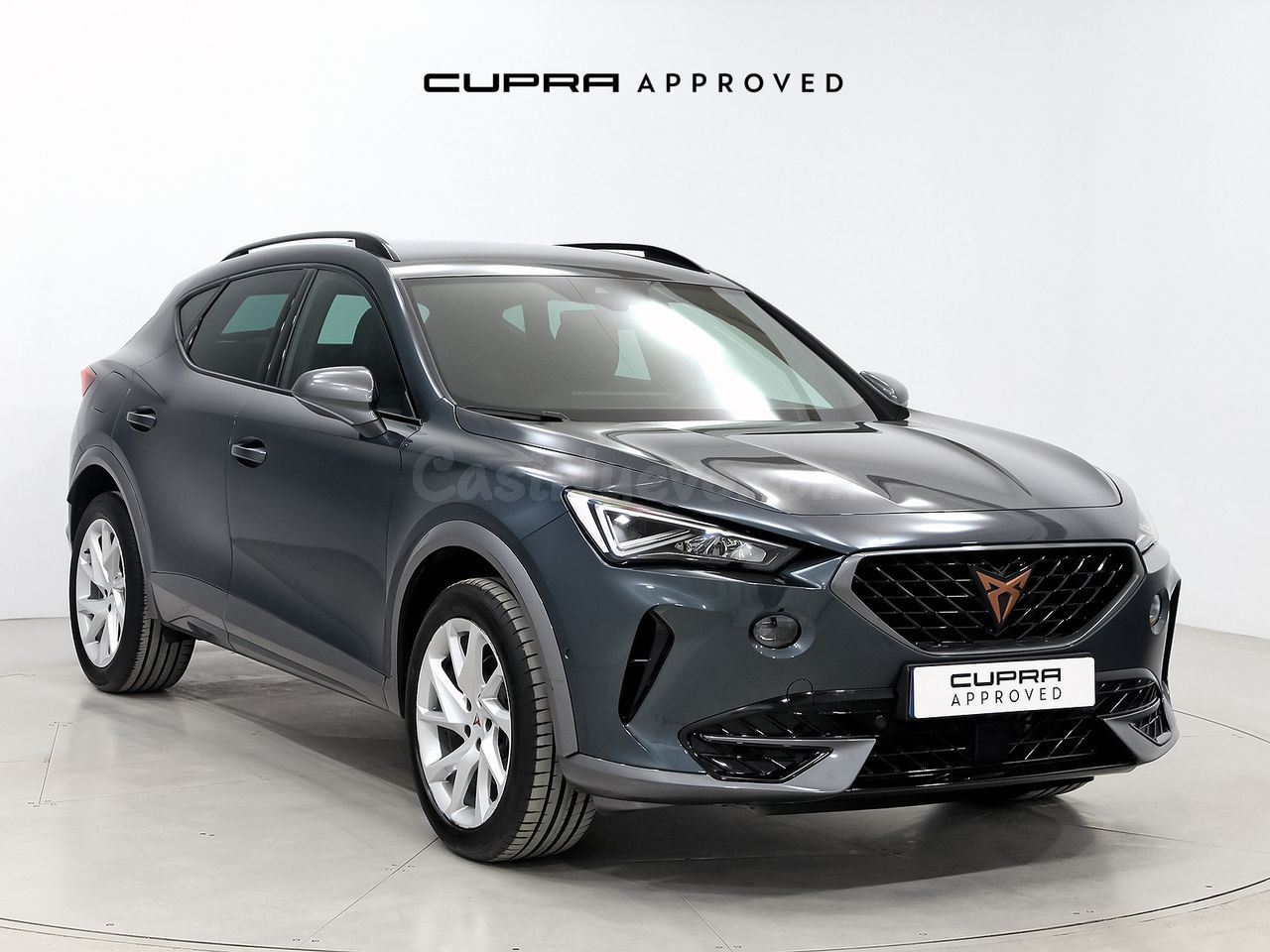 Cupra Formentor 1.5 TSI 150 CV DSG - Barberà del Vallès
