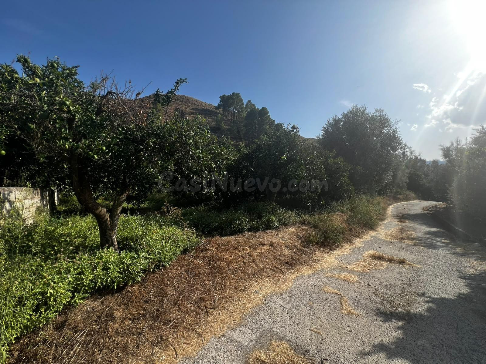 Terreno rural en Murchas