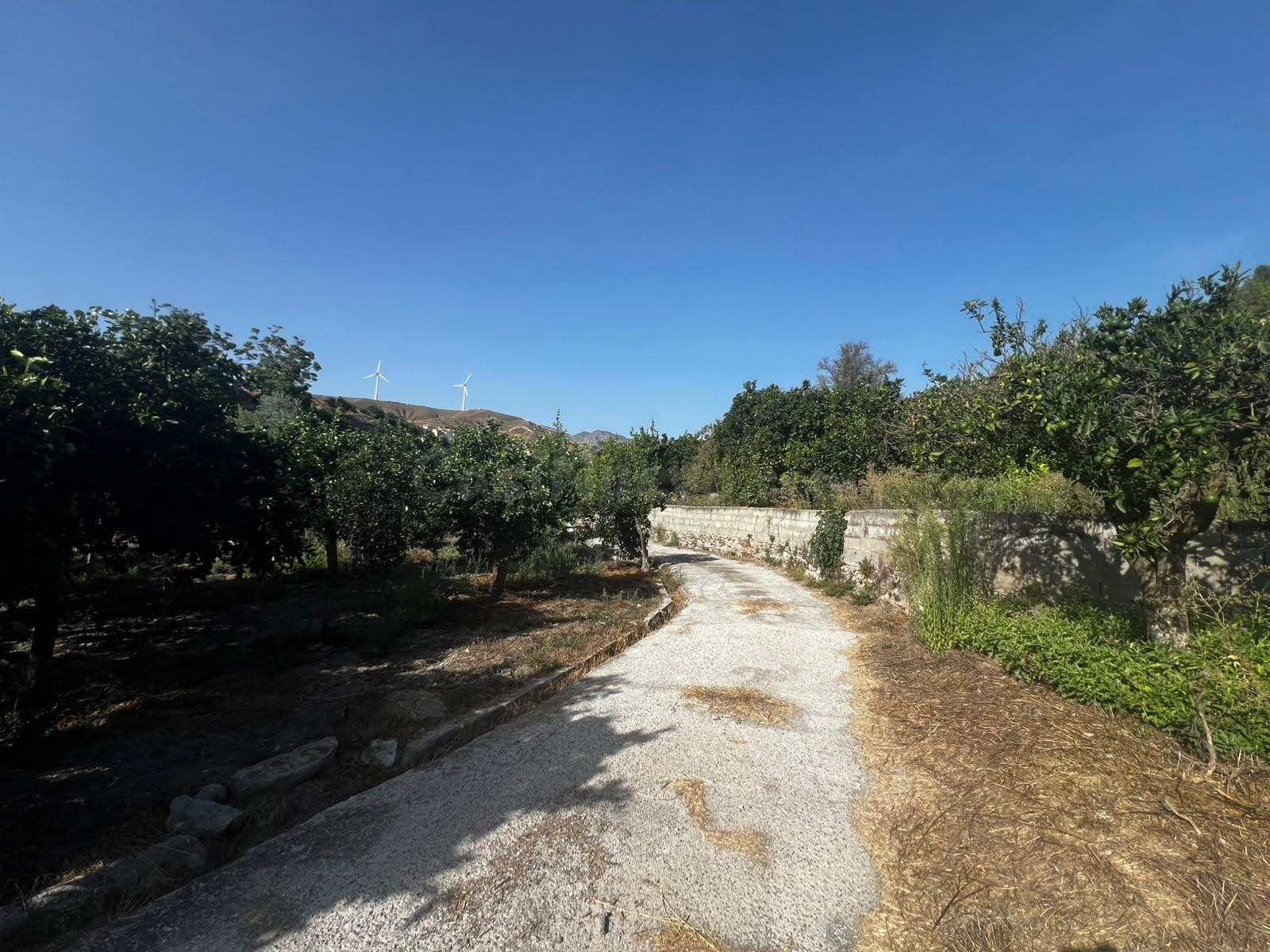 Terreno rural en Murchas - foto 2