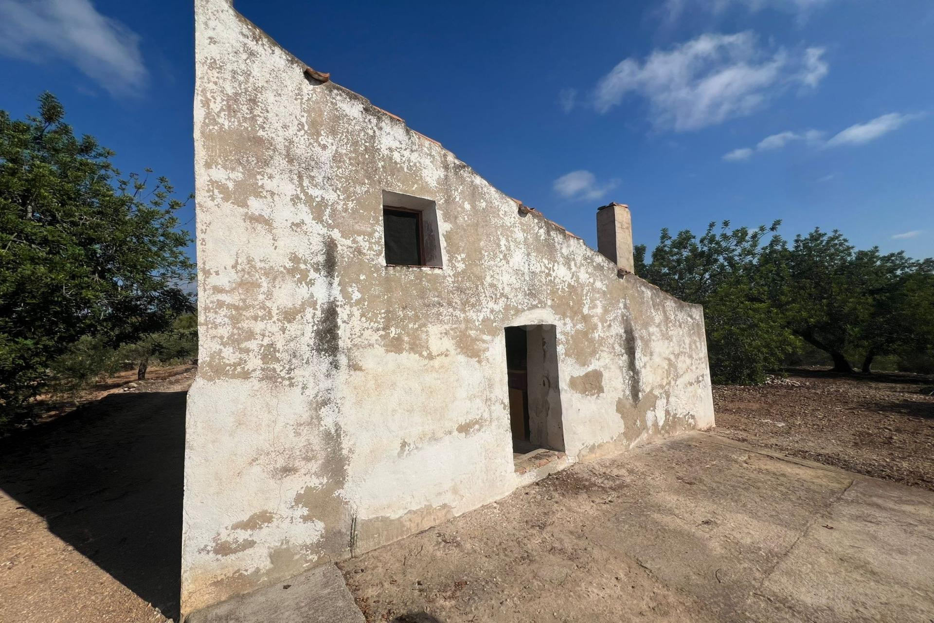 Finca rústica de más de 4 hectáreas con vistas al Delta y al mar
