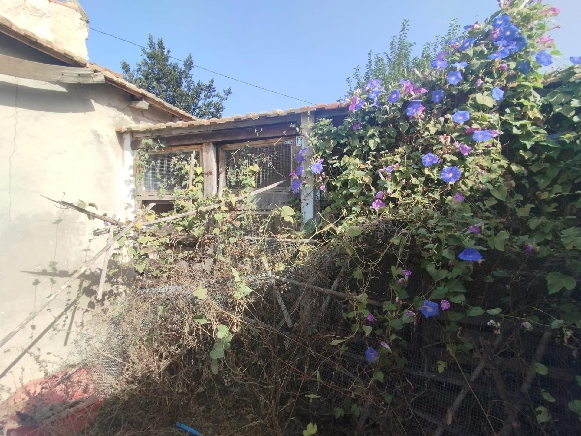 Casa de campo para reformar a un paso de Formentera del Segu - foto 2