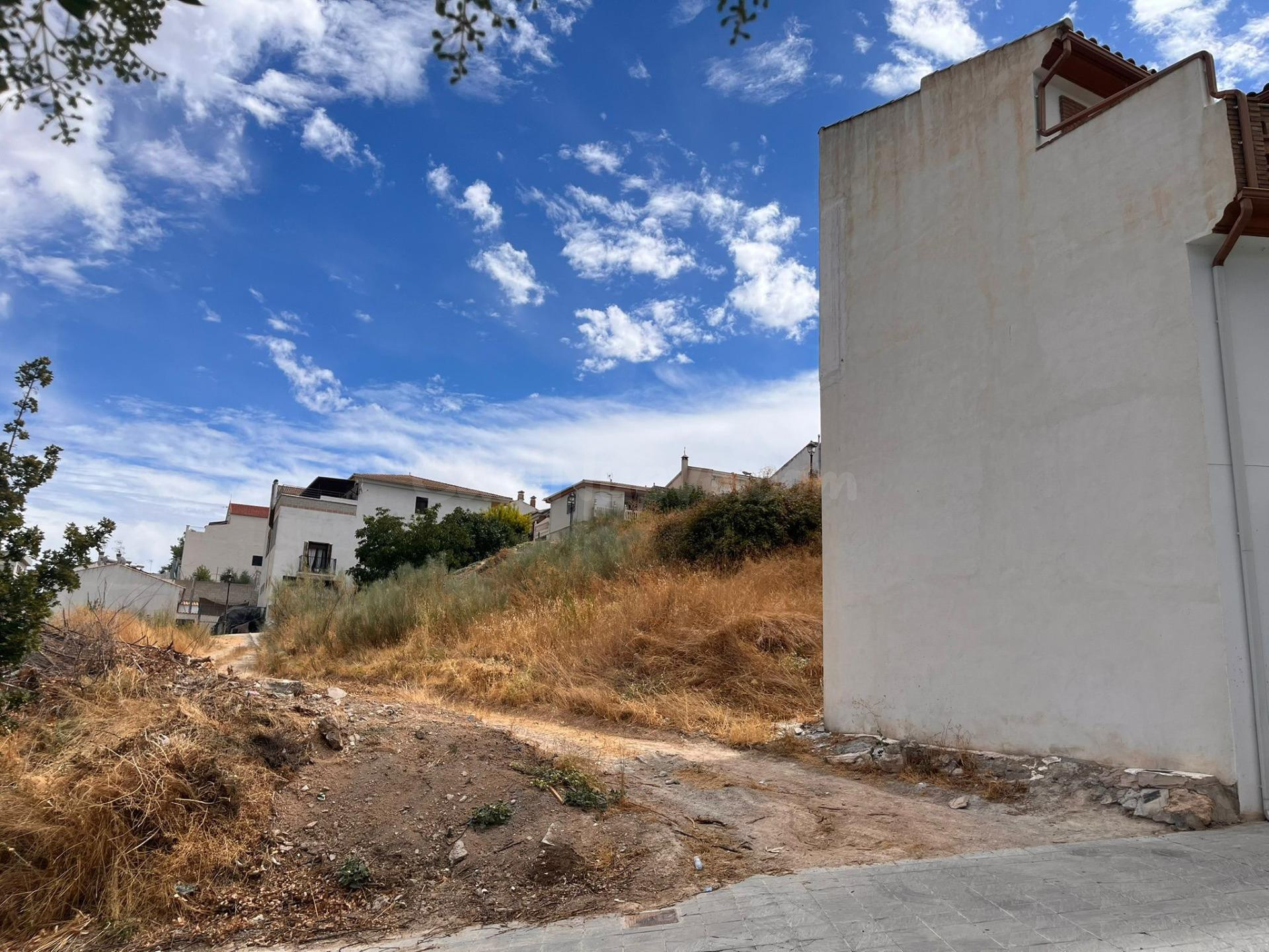 Terreno en Avda. Gregorio Fernández. Deifontes - foto 3