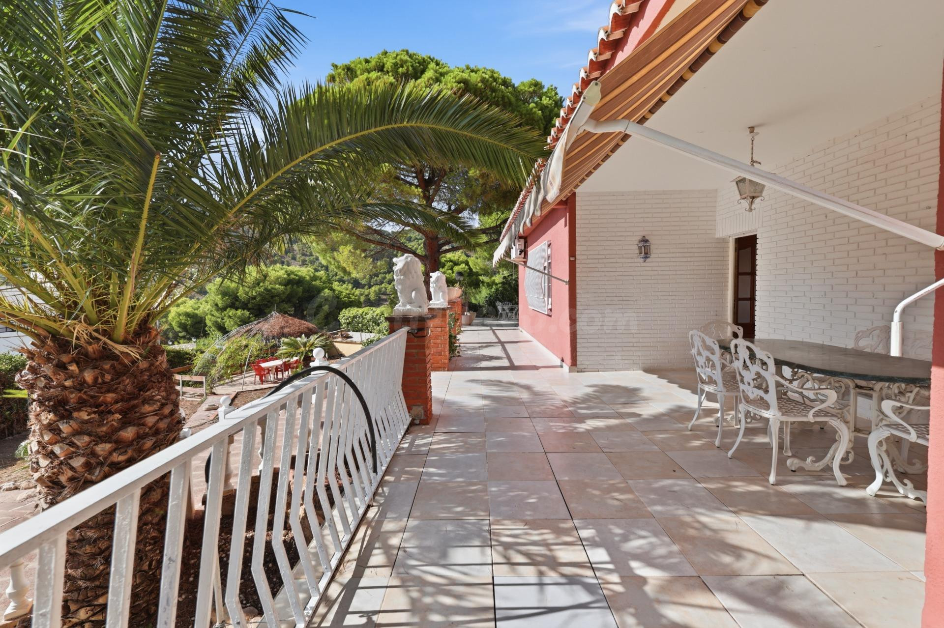 CHALET INDEPENDIENTE EN UNA SOLA PLANTA CON PISCINA Y PARCEL - foto 4