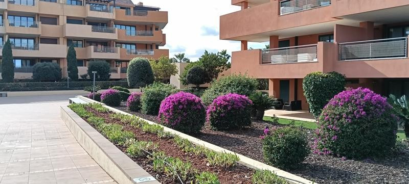 ESPECTACULAR PISO DE LUJO EN LA MARINA DE SOTOGRANDE. LARGA  - foto 2