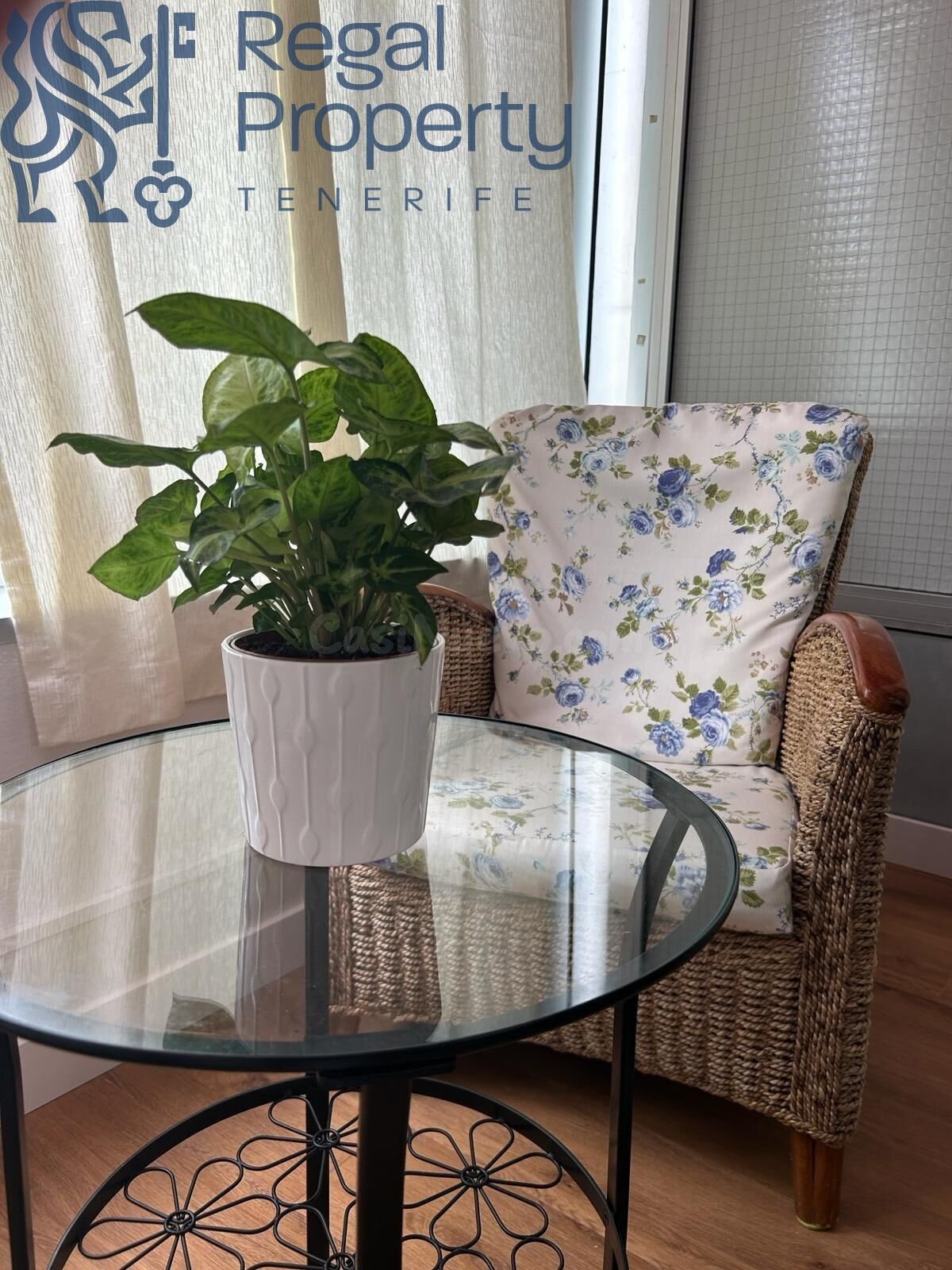 RECIEN REFORMADO APARTAMENTO TIPO ESTUDIO EN PUERTO DE LA CR - foto 4