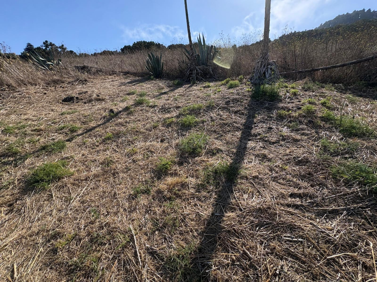 TERRENO EN VENTA EN TIÑOR – VALVERDE, EL HIERRO - foto 5