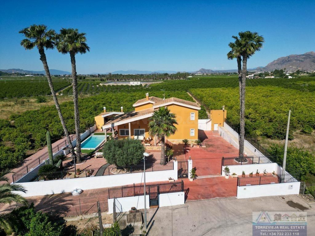 Villa 5 habitaciones 500m² en venta - Desamparados-Hurchillo - foto 4