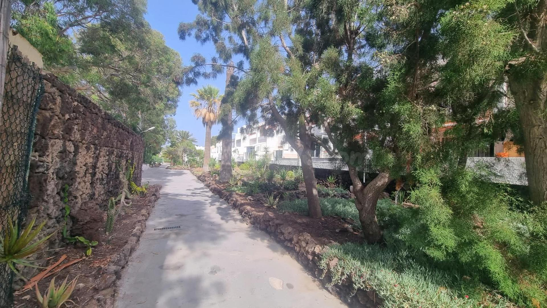 OPORTUNIDAD EN COSTA DEL SILENCIO: estudios nuevos llave en  - foto 2
