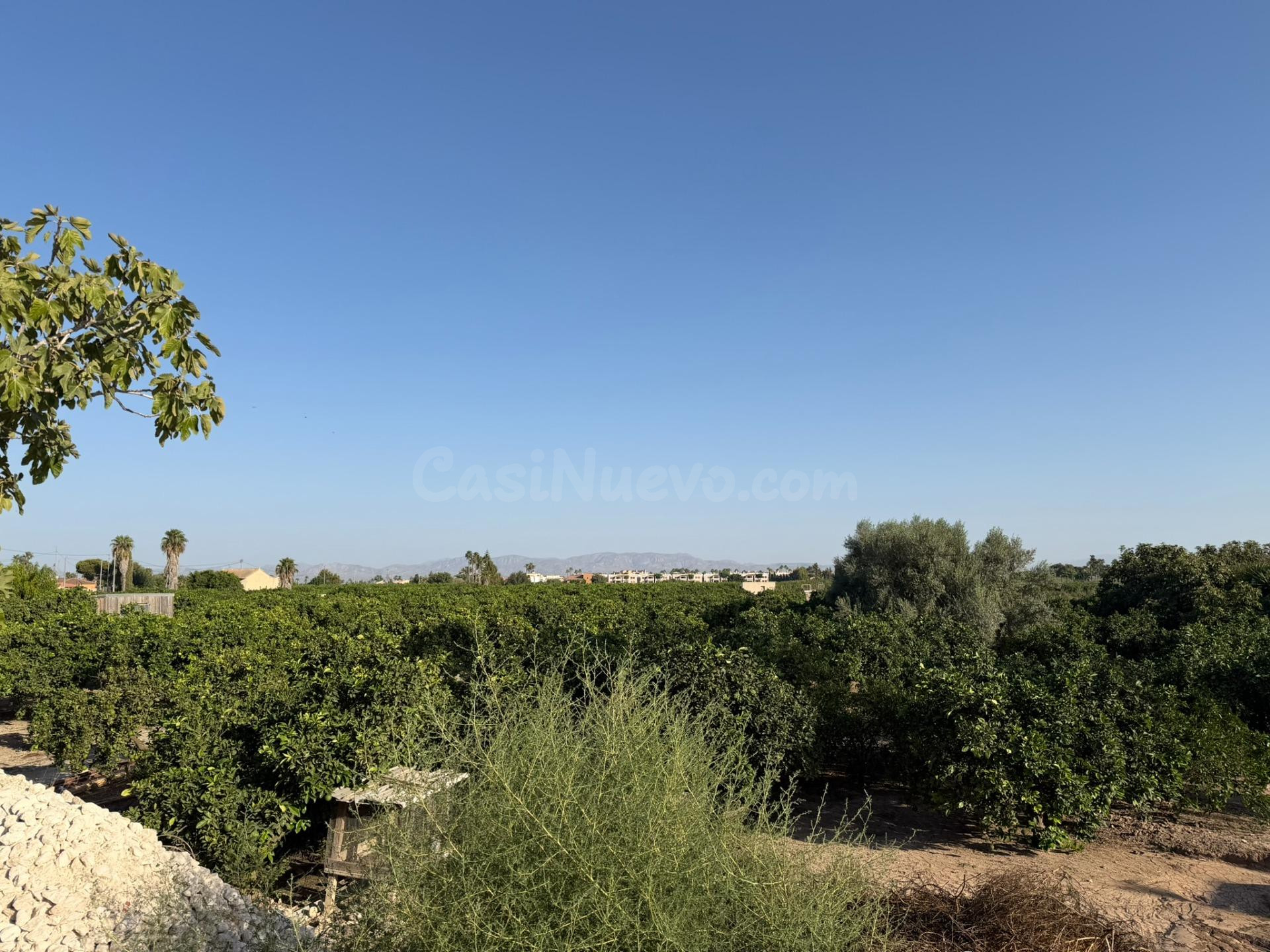 Fantástica casa de campo con gran parcela en Formentera del  - foto 3