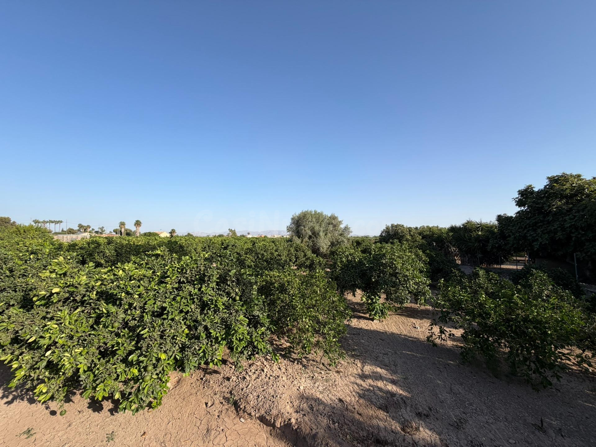 Fantástica casa de campo con gran parcela en Formentera del  - foto 4