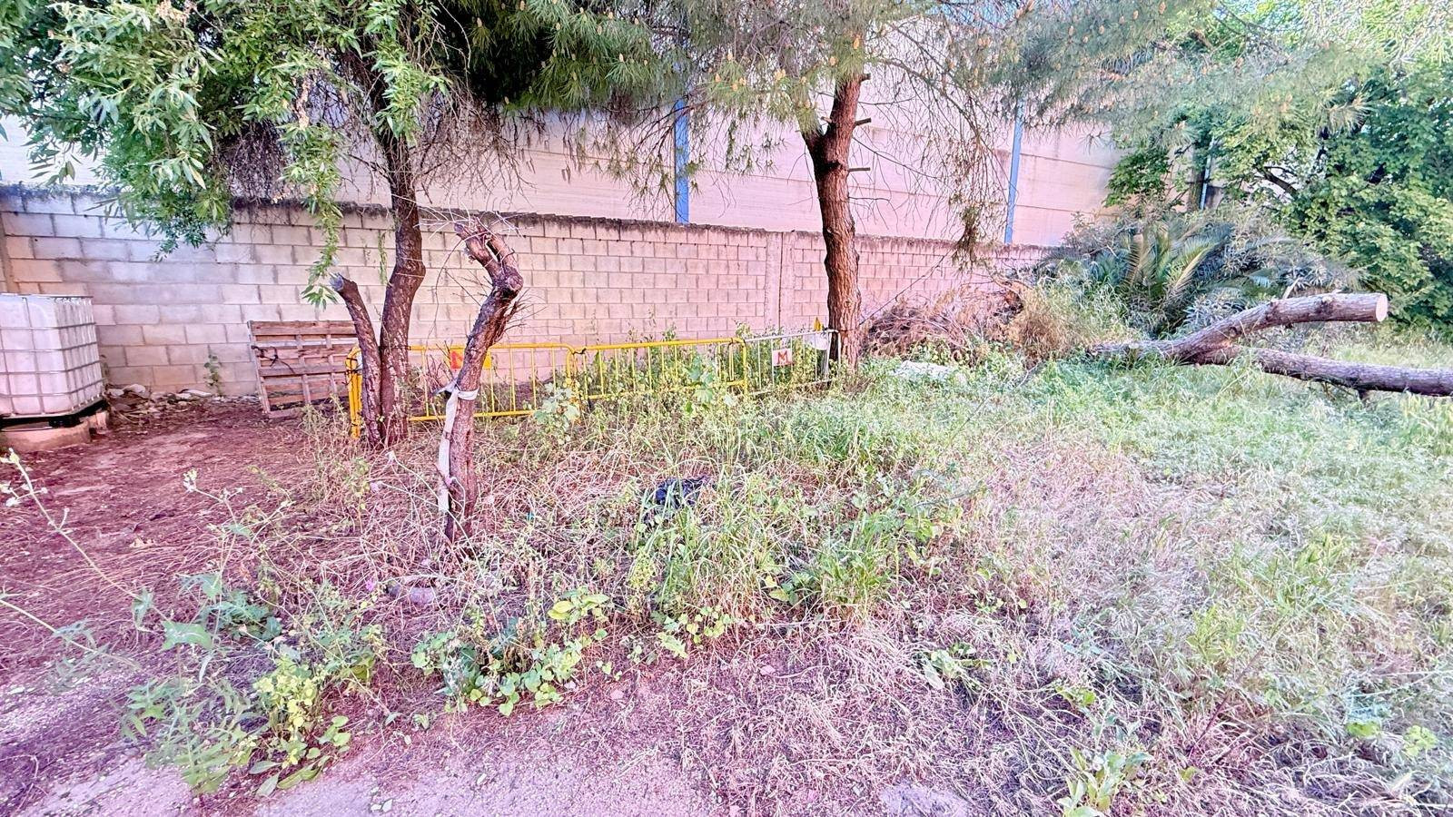 Suelo Industrial Estratégico en Avenida Principal de Dos Her - foto 4