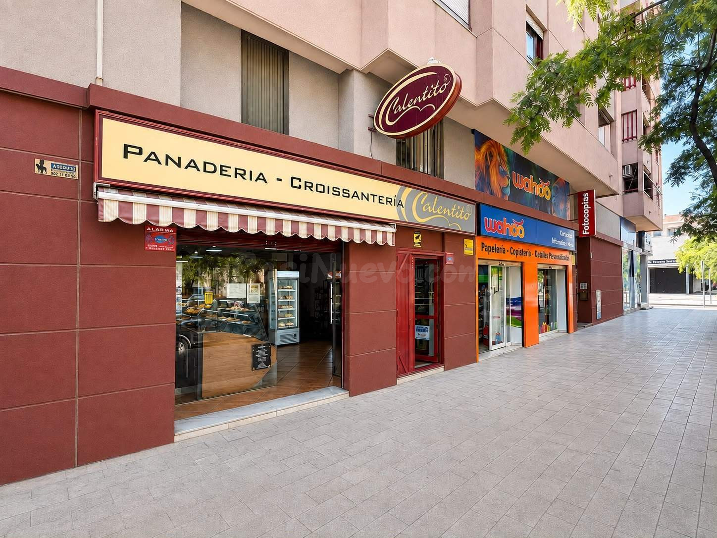 Oportunidad de Alquiler en Alicante: Negocio de Panadería co - foto 4