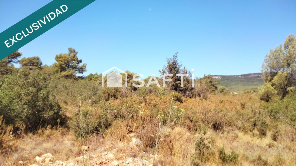 MAGNÍFICA PARCELA URBANA EN QUEROL - foto 4